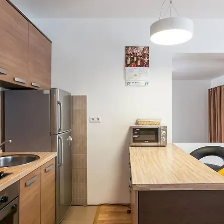 Family House Zoki 木屋 *